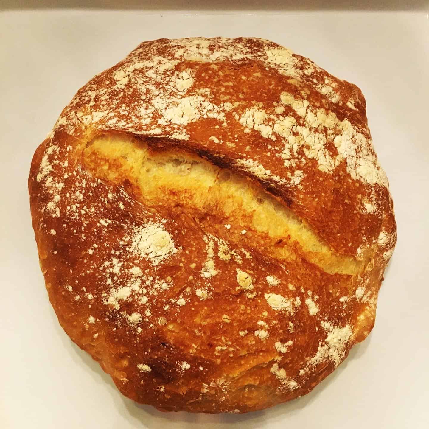 Easy No-Knead Artisan Bread - Margot Dreams of Baking
